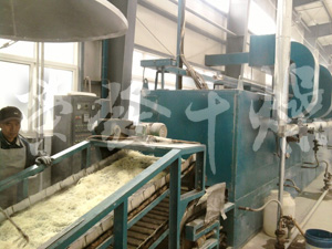 带式干燥用于催化剂干燥生产现场1